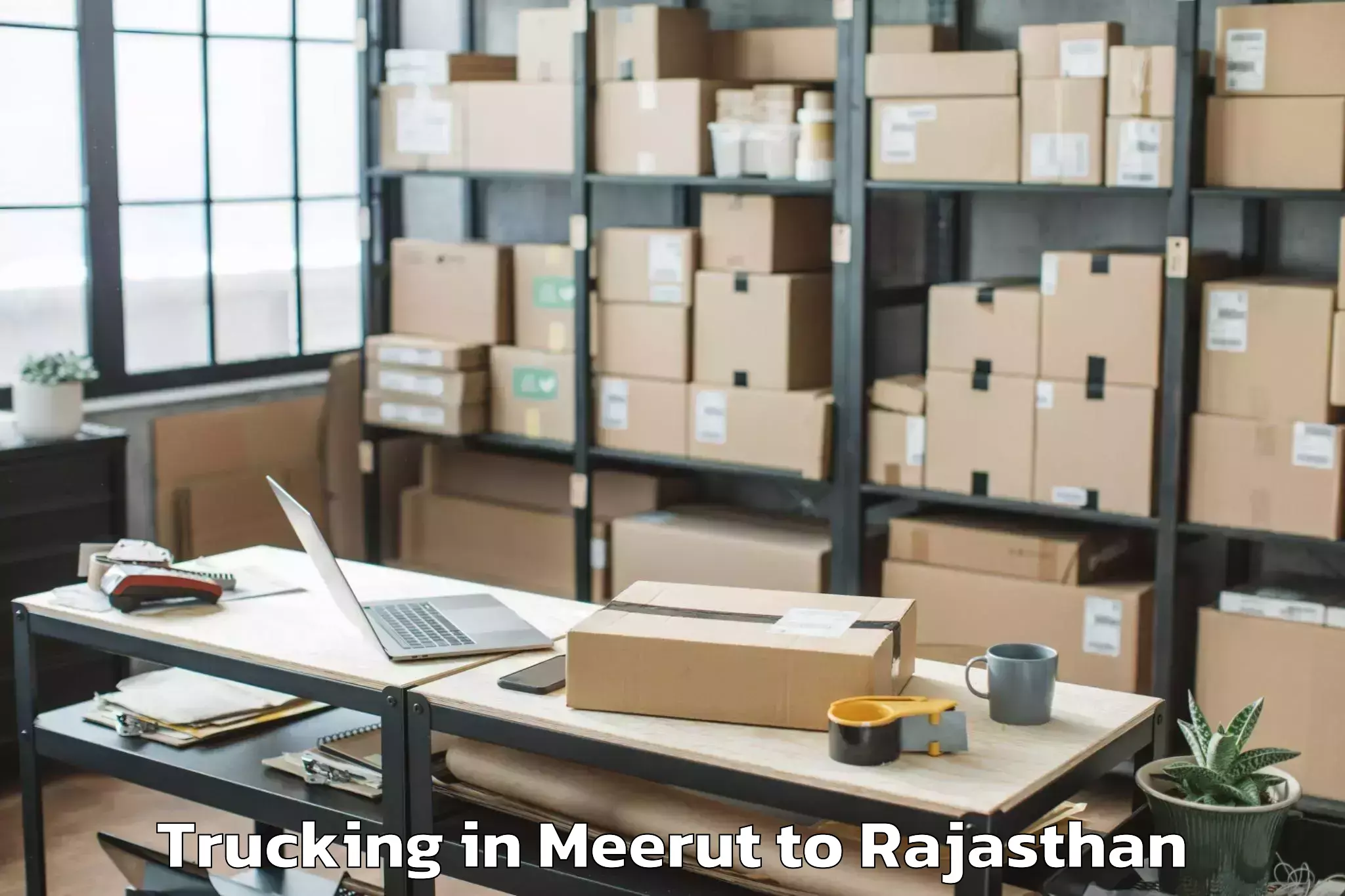 Easy Meerut to Degana Trucking Booking